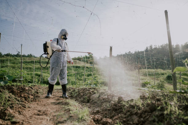 Best Pest Prevention Services  in West View, PA