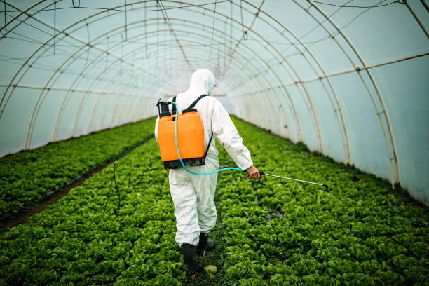 Best Local Pest Control Services  in West View, PA