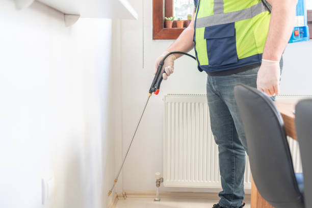 Best Termite Control Services  in West View, PA